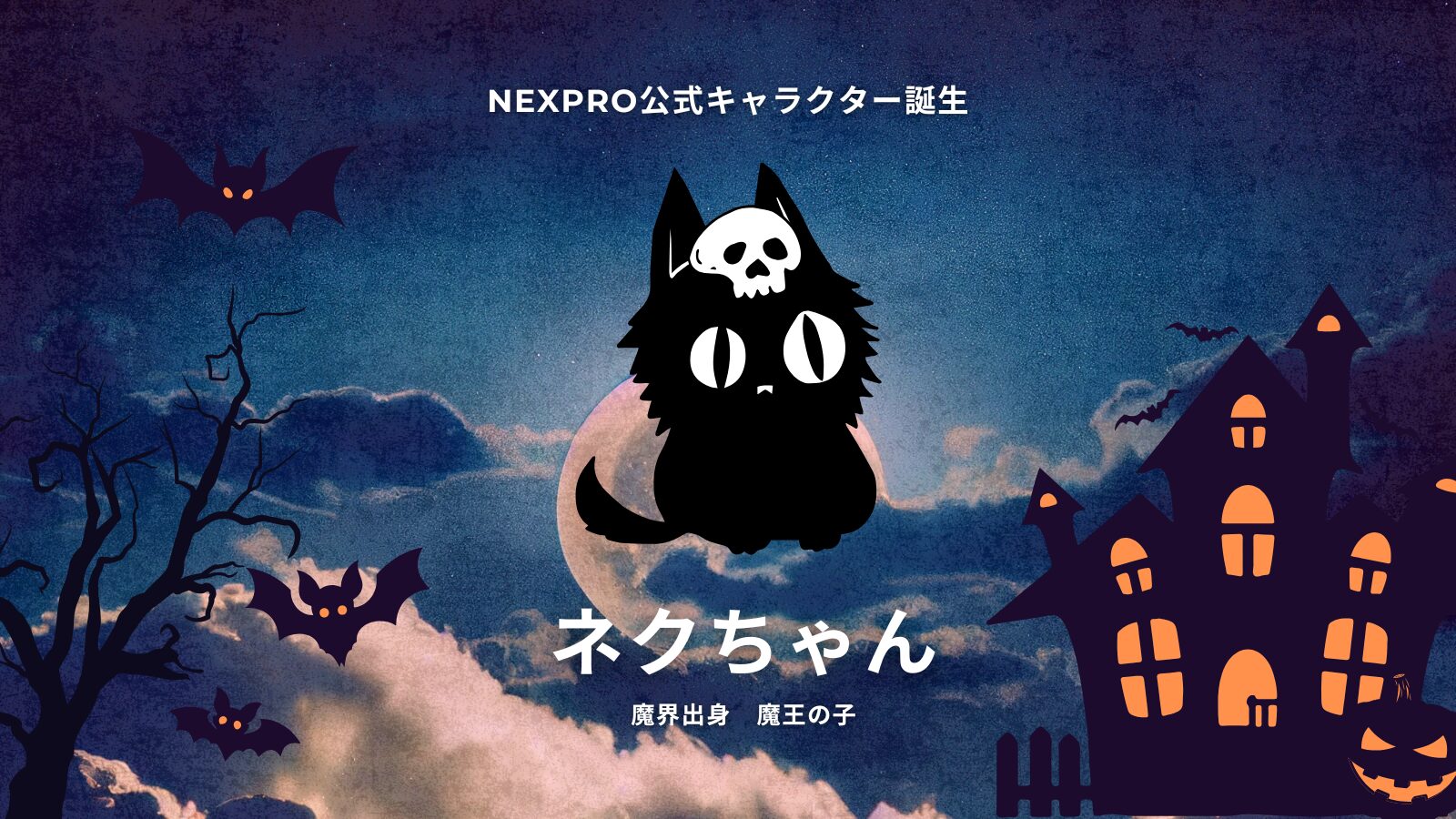 NEXPRO｜2025.11.05 – NEXPRO